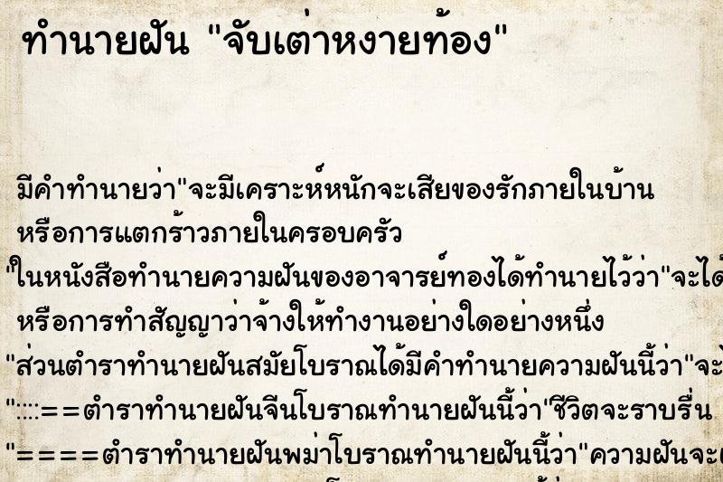 ทำนายฝัน จับเต่าหงายท้อง ทำนายฝัน จับเต่าหงายท้อง