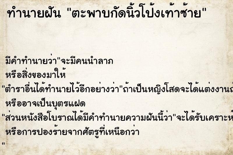 ทำนายฝันตะพาบกัดนิ้วโป้งเท้าซ้าย ทำนายฝันทำนายฝันตะพาบกัดนิ้วโป้งเท้าซ้าย