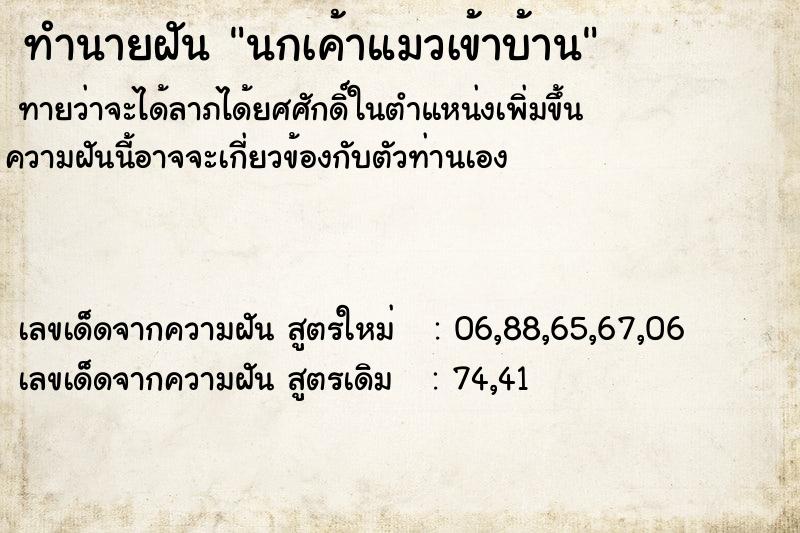 ทำนายฝันนกเค้าแมวเข้าบ้าน ทำนายฝันทำนายฝันนกเค้าแมวเข้าบ้าน
