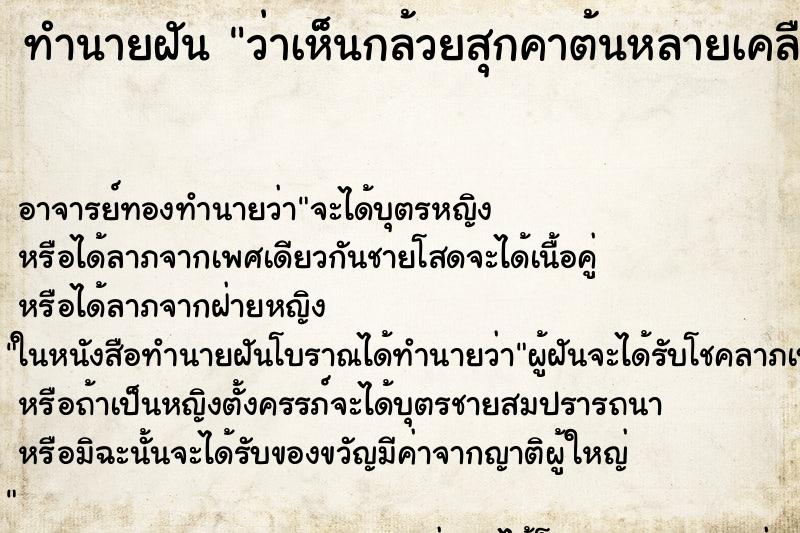 ทำนายฝันทำนายฝันว่าเห็นกล้วยสุกคาต้นหลายเคลือ