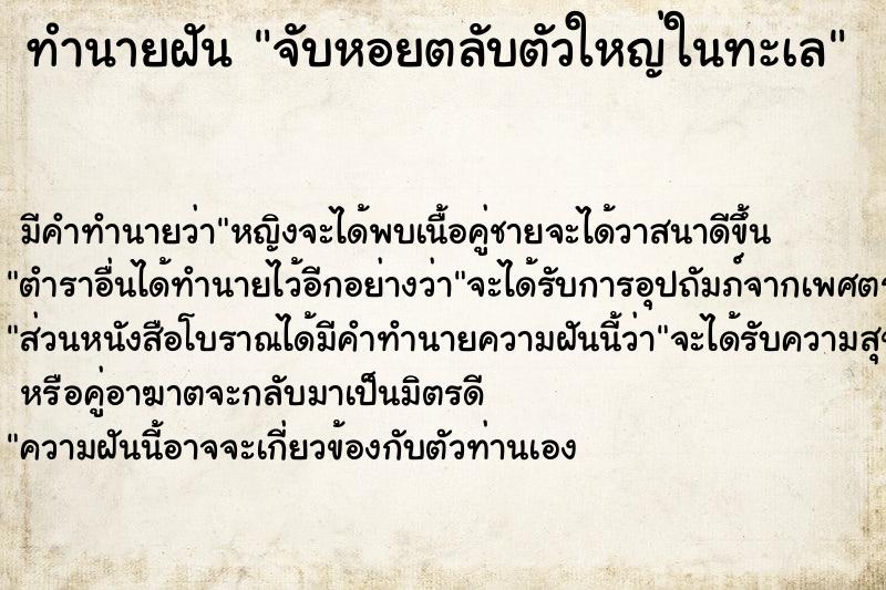 ทำนายฝัน จับหอยตลับตัวใหญ่ในทะเล ทำนายฝัน จับหอยตลับตัวใหญ่ในทะเล