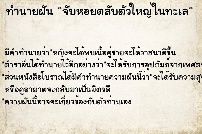 ทำนายฝัน จับหอยตลับตัวใหญ่ในทะเล ตำราโบราณ แม่นที่สุดในโลก