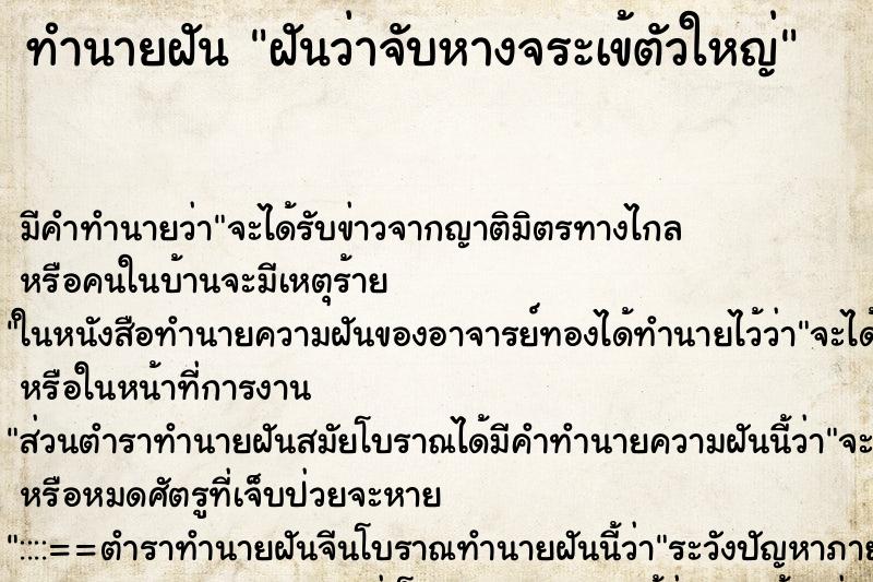 ทำนายฝัน ฝันว่าจับหางจระเข้ตัวใหญ่ ตำราโบราณ แม่นที่สุดในโลก