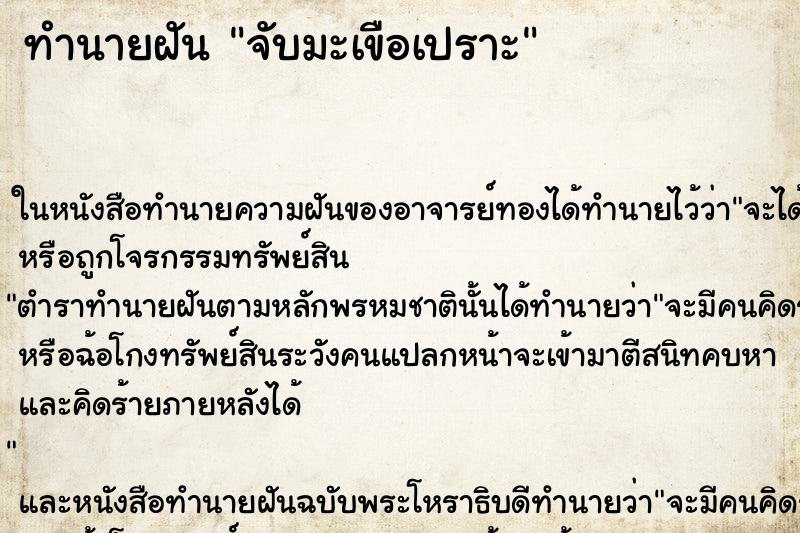 ทำนายฝัน จับมะเขือเปราะ