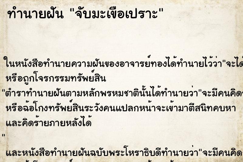 ทำนายฝัน จับมะเขือเปราะ ตำราโบราณ แม่นที่สุดในโลก