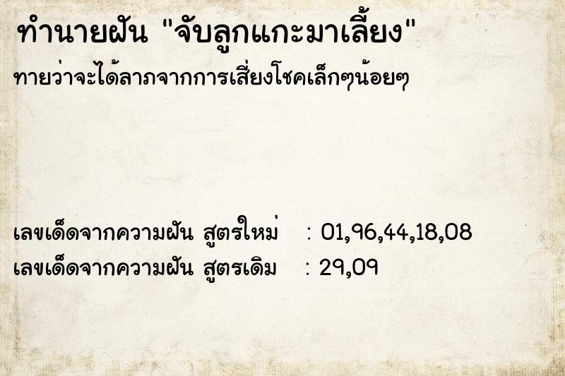 ทำนายฝันจับลูกแกะมาเลี้ยง ทำนายฝันทำนายฝันจับลูกแกะมาเลี้ยง