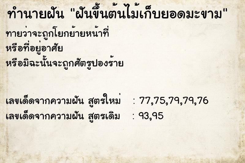 ทำนายฝันฝันขึ้นต้นไม้เก็บยอดมะขาม ทำนายฝันทำนายฝันฝันขึ้นต้นไม้เก็บยอดมะขาม