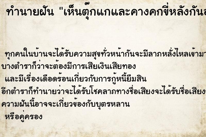 ทำนายฝันทำนายฝันเห็นตุ๊กแกและคางคกขี่หลังกันอยู่ในห้อง