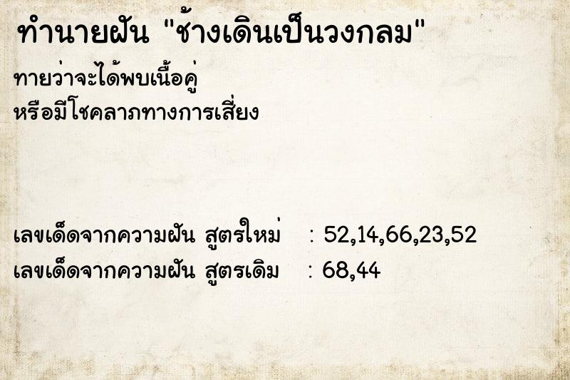 ทำนายฝัน ช้างเดินเป็นวงกลม ตำราโบราณ แม่นที่สุดในโลก