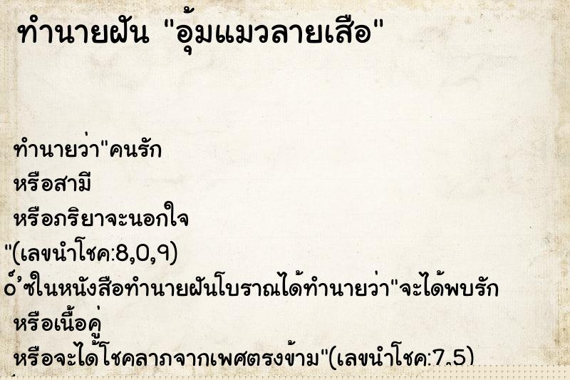 ทำนายฝัน อุ้มแมวลายเสือ ทำนายฝัน อุ้มแมวลายเสือ