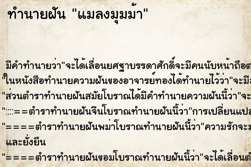 ทำนายฝันทำนายฝันแมลงมุมม้า