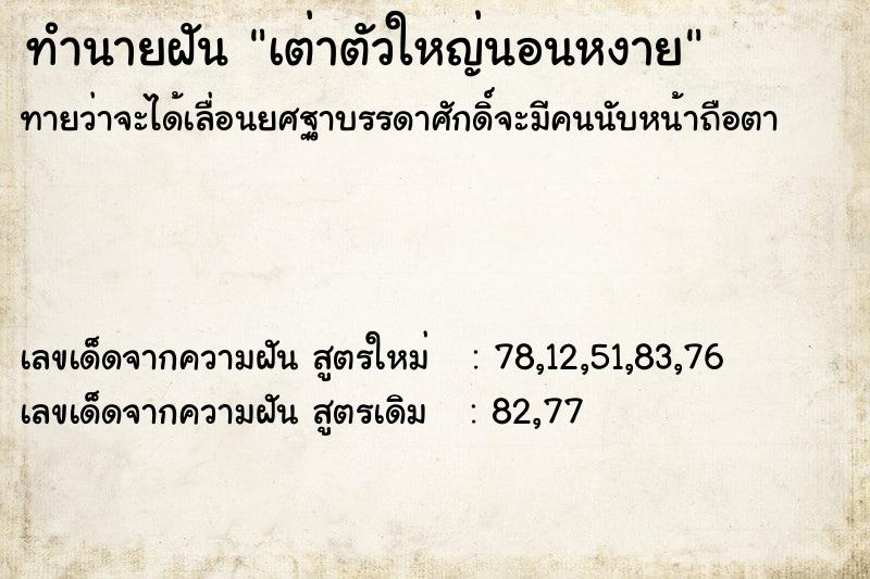 ทำนายฝันเต่าตัวใหญ่นอนหงาย ทำนายฝันทำนายฝันเต่าตัวใหญ่นอนหงาย