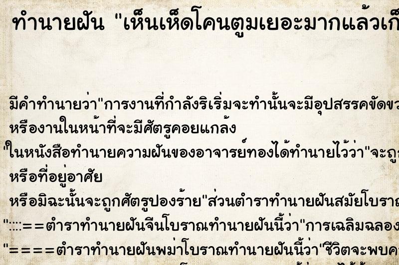 ทำนายฝัน เห็นเห็ดโคนตูมเยอะมากแล้วเก็บเห็ดโคน ทำนายฝัน เห็นเห็ดโคนตูมเยอะมากแล้วเก็บเห็ดโคน