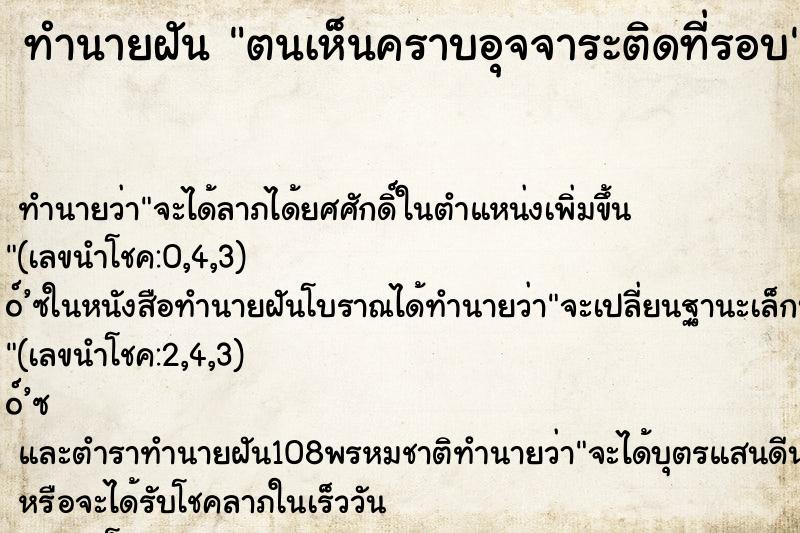ทำนายฝันตนเห็นคราบอุจจาระติดที่รอบ ทำนายฝันทำนายฝันตนเห็นคราบอุจจาระติดที่รอบ