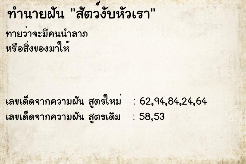ทำนายฝันสัตว์งับหัวเรา ทำนายฝันทำนายฝันสัตว์งับหัวเรา