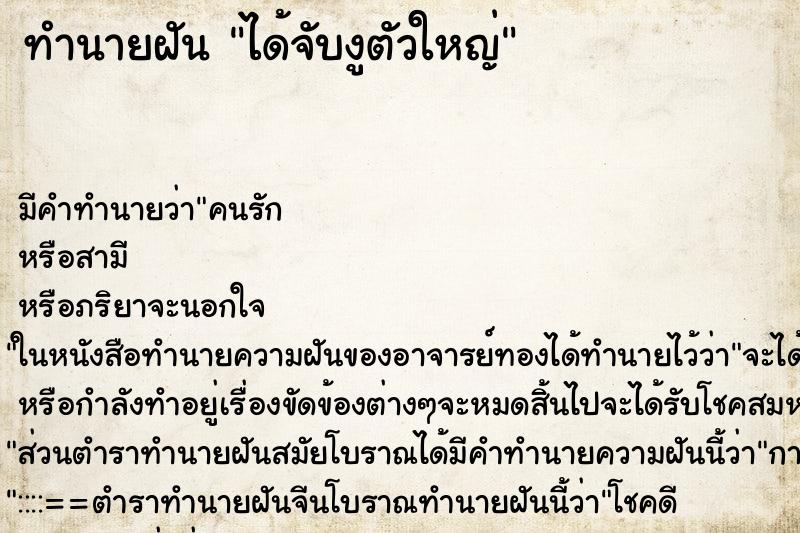 ทำนายฝันทำนายฝันได้จับงูตัวใหญ่