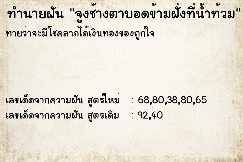 ทำนายฝันจูงช้างตาบอดข้ามฝั่งที่น้ำท้วม ทำนายฝันทำนายฝันจูงช้างตาบอดข้ามฝั่งที่น้ำท้วม