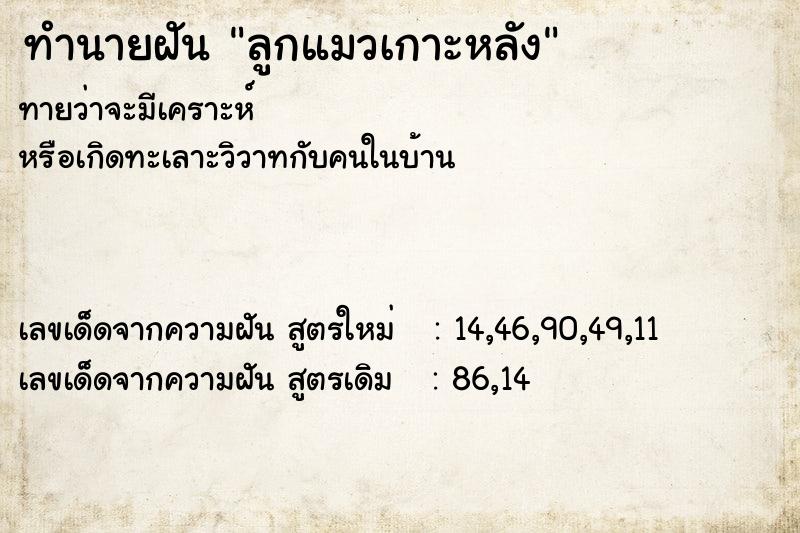 ทำนายฝันลูกแมวเกาะหลัง ทำนายฝันทำนายฝันลูกแมวเกาะหลัง