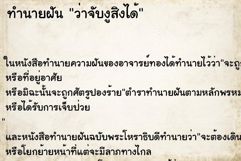 ทำนายฝัน ว่าจับงูสิงได้ ทำนายฝัน ว่าจับงูสิงได้