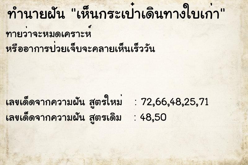 ทำนายฝันเห็นกระเป๋าเดินทางใบเก่า ทำนายฝันทำนายฝันเห็นกระเป๋าเดินทางใบเก่า