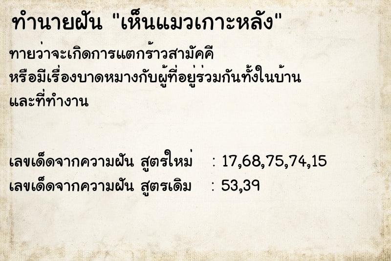 ทำนายฝัน เห็นแมวเกาะหลัง ทำนายฝัน เห็นแมวเกาะหลัง