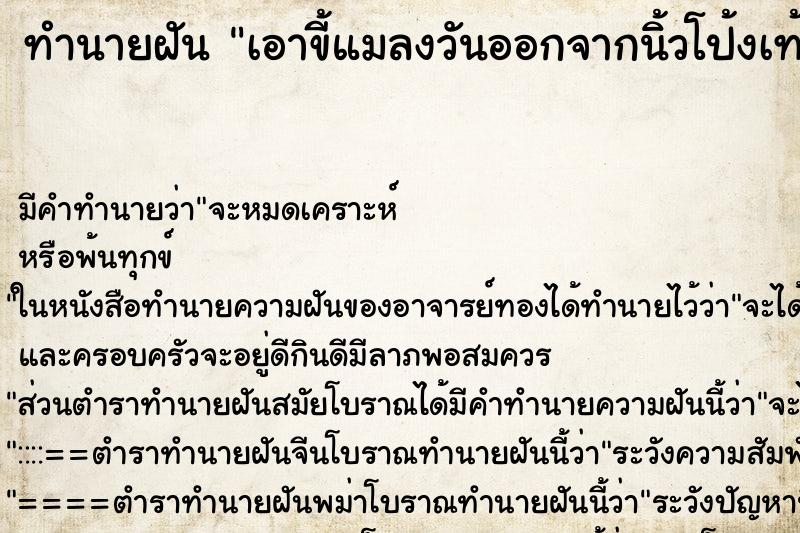 ทำนายฝันเอาขี้แมลงวันออกจากนิ้วโป้งเท้า ทำนายฝันทำนายฝันเอาขี้แมลงวันออกจากนิ้วโป้งเท้า