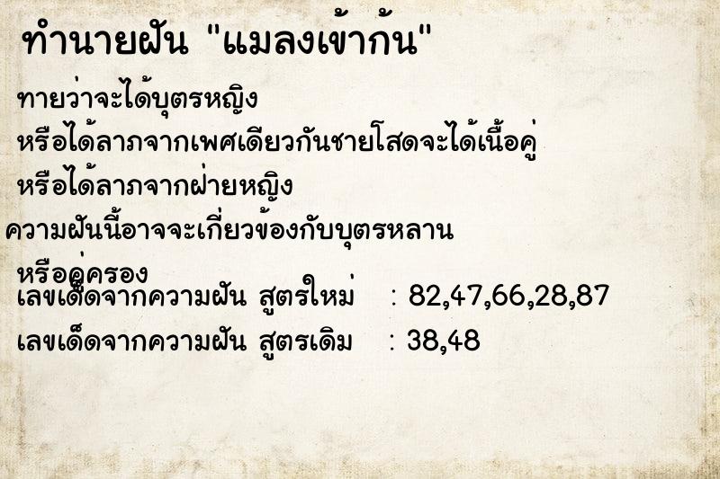 ทำนายฝัน แมลงเข้าก้น ทำนายฝัน แมลงเข้าก้น