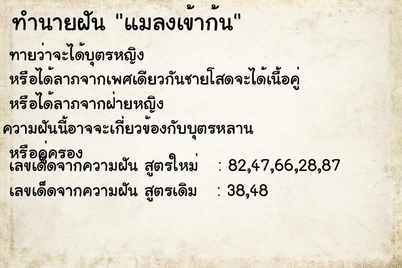 ทำนายฝัน แมลงเข้าก้น ตำราโบราณ แม่นที่สุดในโลก