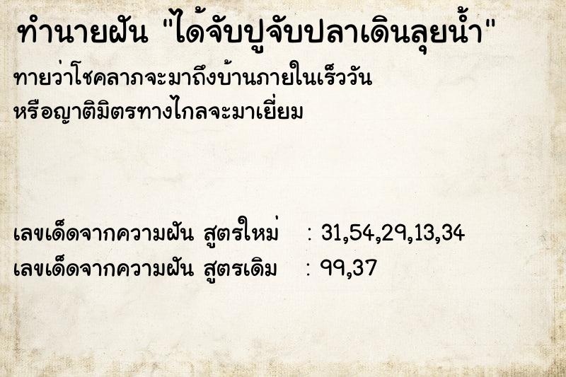 ทำนายฝันได้จับปูจับปลาเดินลุยน้ำ ทำนายฝันทำนายฝันได้จับปูจับปลาเดินลุยน้ำ