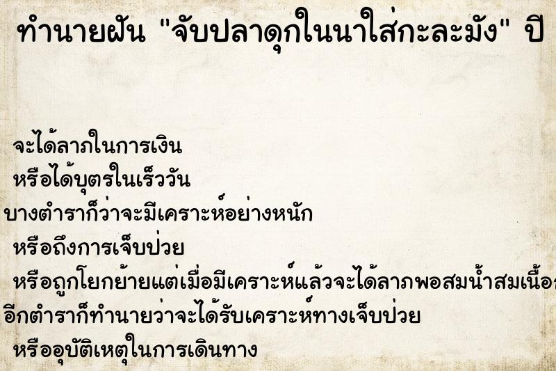ทำนายฝันจับปลาดุกในนาใส่กะละมัง ทำนายฝันทำนายฝันจับปลาดุกในนาใส่กะละมัง