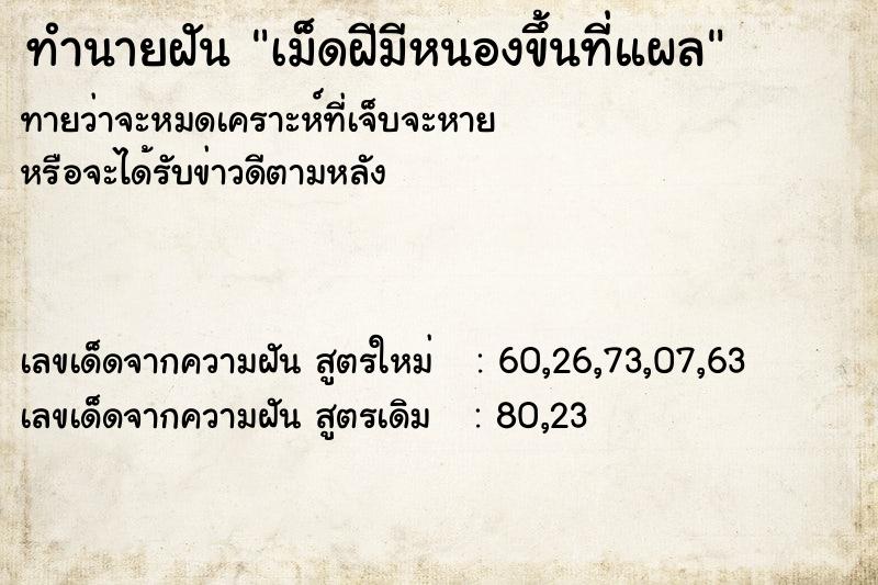 ทำนายฝัน เม็ดฝีมีหนองขึ้นที่แผล ทำนายฝัน เม็ดฝีมีหนองขึ้นที่แผล