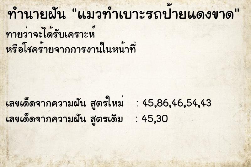 ทำนายฝันทำนายฝันแมวทำเบาะรถป้ายแดงขาด