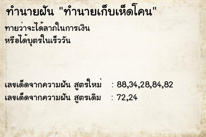 ทำนายฝัน ทำนายเก็บเห็ดโคน
