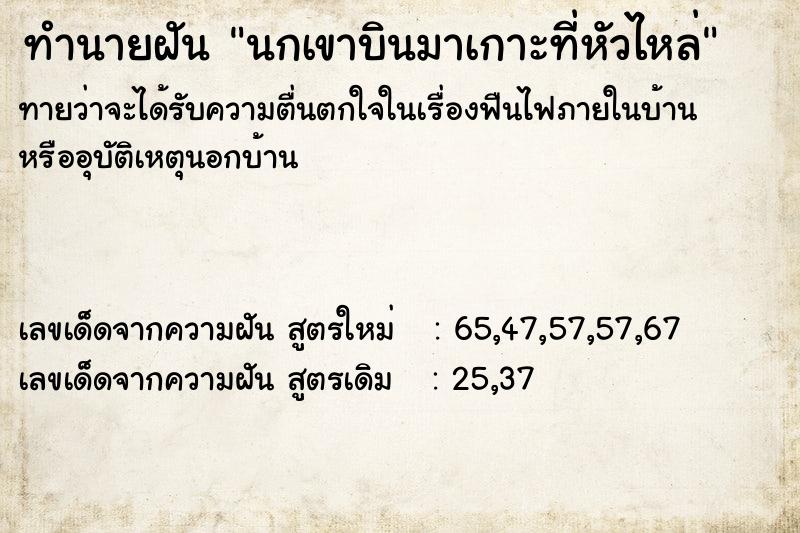 ทำนายฝันทำนายฝันนกเขาบินมาเกาะที่หัวไหล่