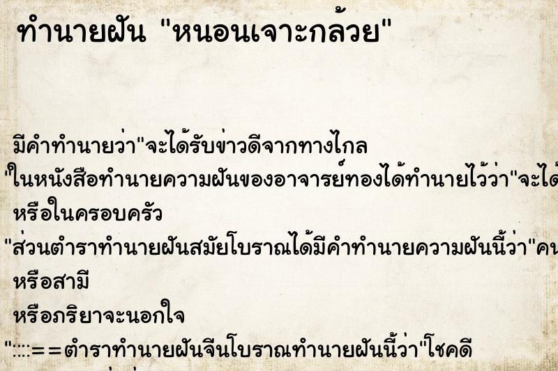 ทำนายฝัน หนอนเจาะกล้วย ทำนายฝัน หนอนเจาะกล้วย