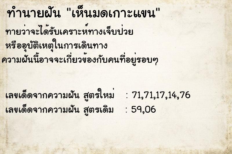 ทำนายฝันเห็นมดเกาะแขน ทำนายฝันทำนายฝันเห็นมดเกาะแขน