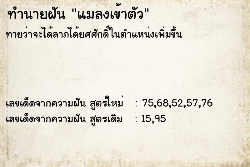 ทำนายฝันทำนายฝันแมลงเข้าตัว