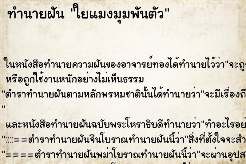 ทำนายฝัน ใยแมงมุมพันตัว ทำนายฝัน ใยแมงมุมพันตัว