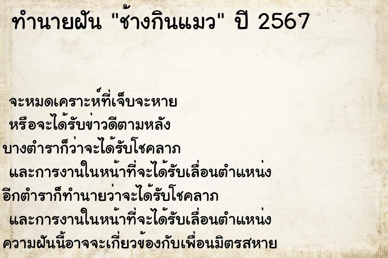 ทำนายฝันช้างกินแมว ทำนายฝันทำนายฝันช้างกินแมว