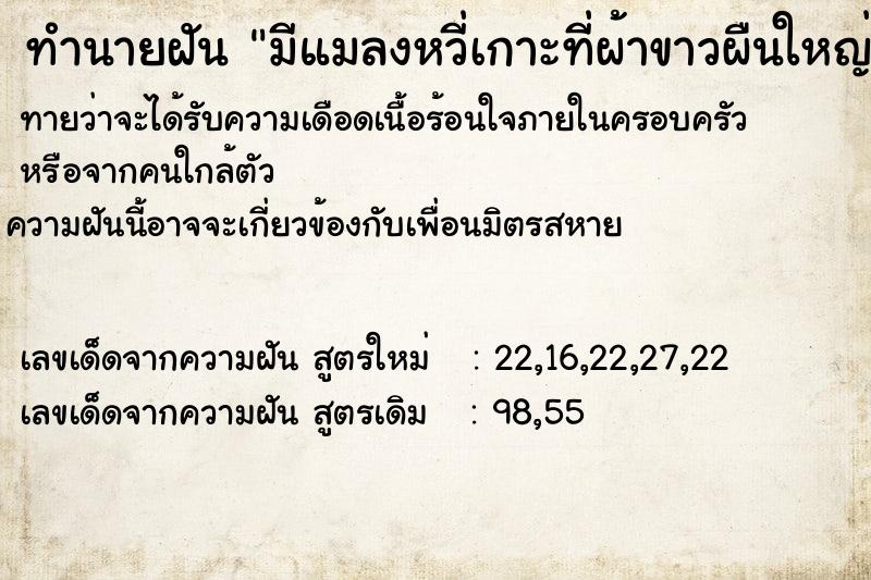 ทำนายฝันมีแมลงหวี่เกาะที่ผ้าขาวผืนใหญ่เป็นแพเกือบเต็มผ้า ทำนายฝันทำนายฝันมีแมลงหวี่เกาะที่ผ้าขาวผืนใหญ่เป็นแพเกือบเต็มผ้า