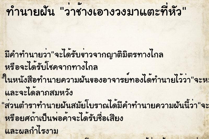 ทำนายฝัน ว่าช้างเอางวงมาแตะที่หัว ทำนายฝัน ว่าช้างเอางวงมาแตะที่หัว