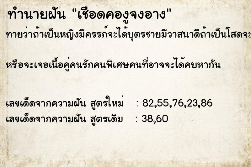 ทำนายฝันเชือดคองูจงอาง ทำนายฝันทำนายฝันเชือดคองูจงอาง