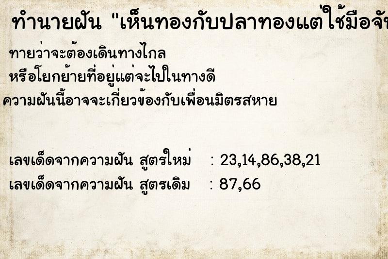 ทำนายฝันเห็นทองกับปลาทองแต่ใช้มือจับทอง ทำนายฝันทำนายฝันเห็นทองกับปลาทองแต่ใช้มือจับทอง
