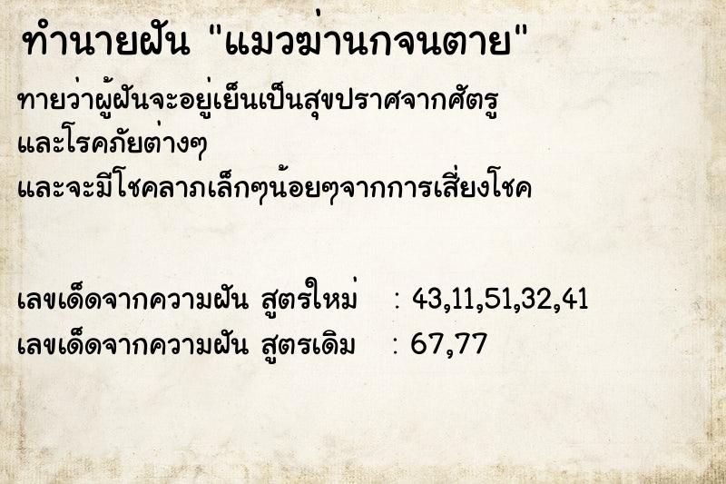 ทำนายฝันแมวฆ่านกจนตาย ทำนายฝันทำนายฝันแมวฆ่านกจนตาย