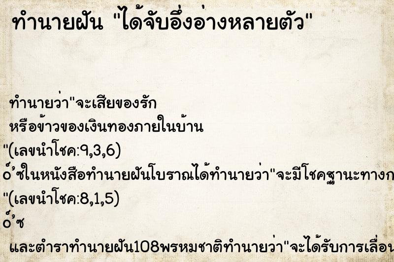 ทำนายฝันได้จับอึ่งอ่างหลายตัว ทำนายฝันทำนายฝันได้จับอึ่งอ่างหลายตัว