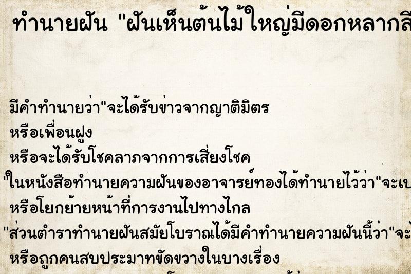 ทำนายฝันทำนายฝันฝันเห็นต้นไม้ใหญ่มีดอกหลากสีสวยงาม