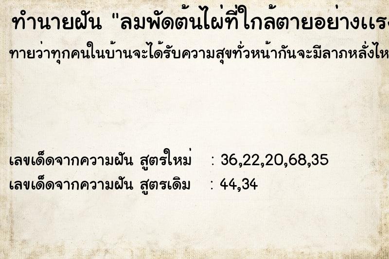 ทำนายฝันลมพัดต้นไผ่่ที่ใกล้ตายอย่างเเรง ทำนายฝันทำนายฝันลมพัดต้นไผ่่ที่ใกล้ตายอย่างเเรง