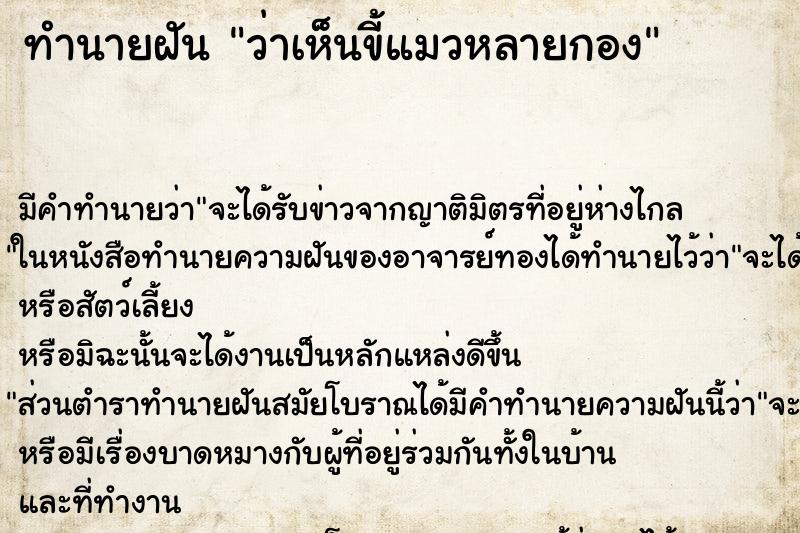 ทำนายฝันว่าเห็นขี้แมวหลายกอง ทำนายฝันทำนายฝันว่าเห็นขี้แมวหลายกอง