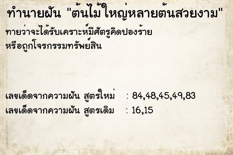ทำนายฝัน ต้นไม้ใหญ่หลายต้นสวยงาม