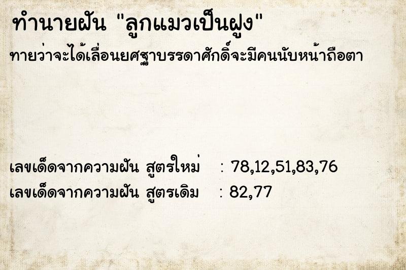 ทำนายฝันทำนายฝันลูกแมวเป็นฝูง